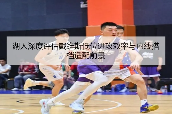 湖人深度评估戴维斯低位进攻效率与内线搭档适配前景