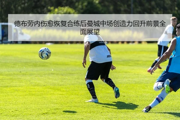 img_1783362609465_1581_1_714.jpg